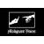 Malignant Voices